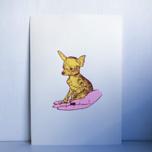 CHIHUAHUA