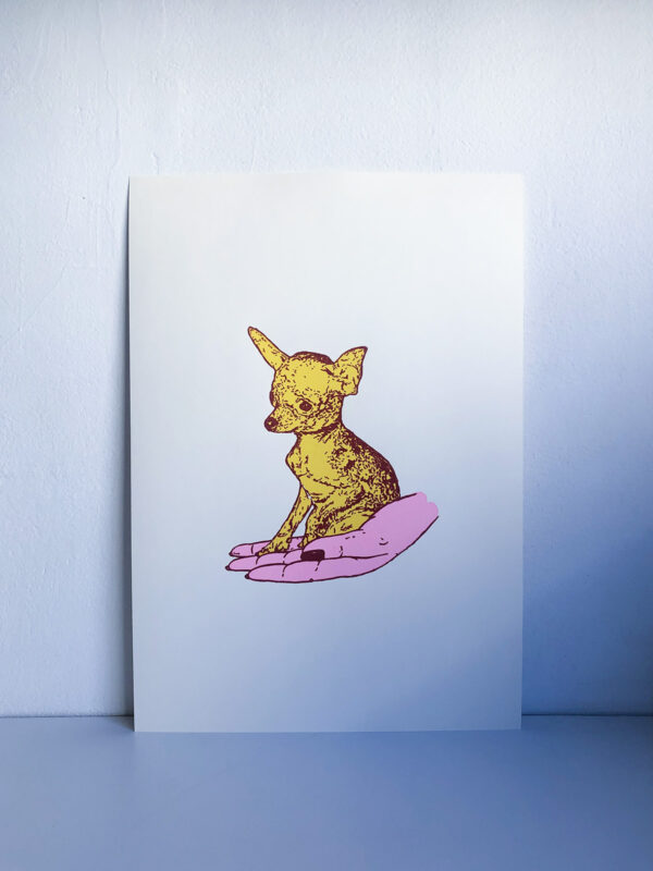 CHIHUAHUA