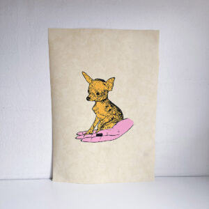 CHIHUAHUAS