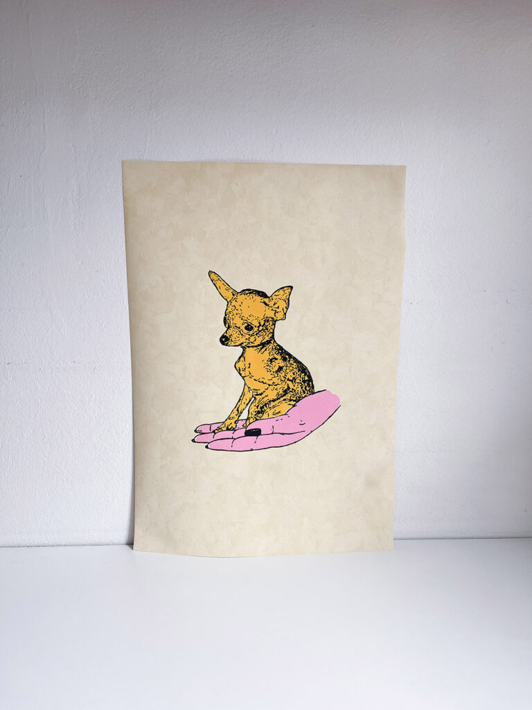 CHIHUAHUAS